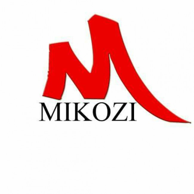 Mikozi Network Music  Download Mp3